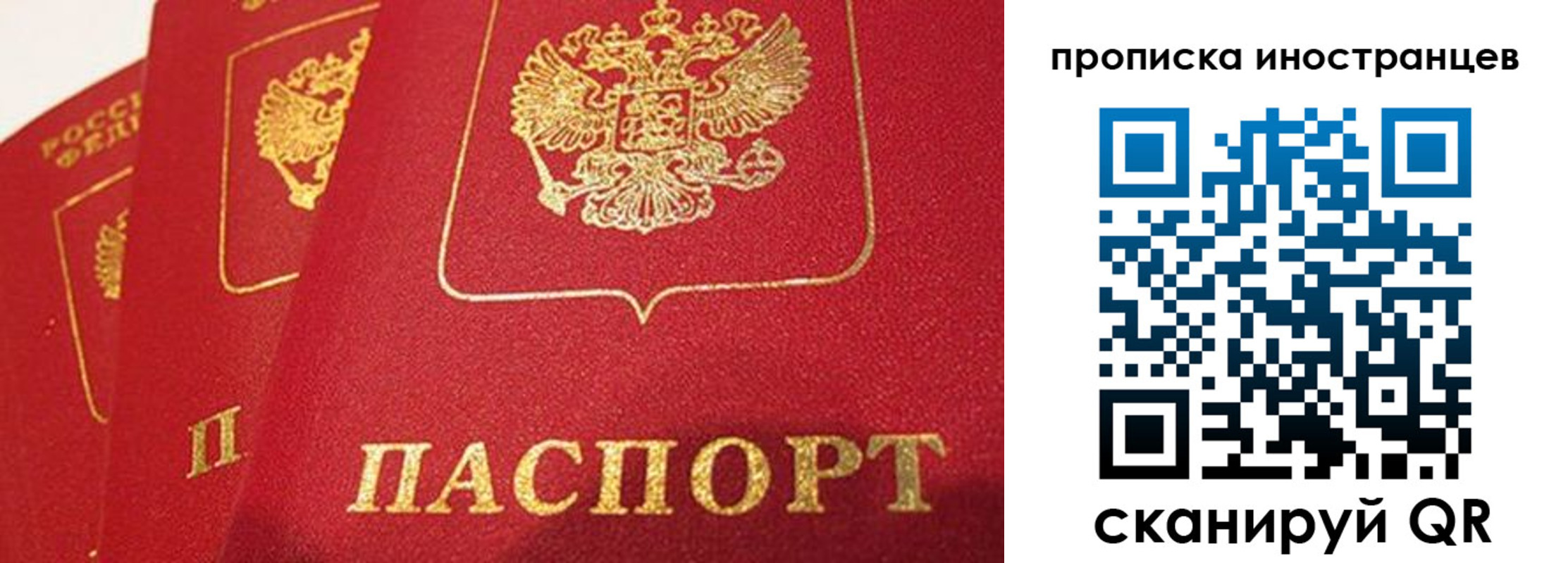 прописка поиск в Ставрополе